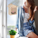 Solid Wood Outdoor Small Birdhouse, Bird Feeder