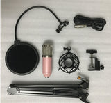 BM800 Capacitance Microphone Set