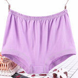 Plus Size, Fat Women's Briefs, Underwear for Moms