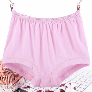 Plus Size, Fat Women's Briefs, Underwear for Moms