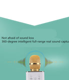 Handheld Microphone Speaker