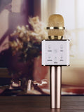 Handheld Microphone Speaker