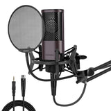 Mobile Phone Voice Game Computer Anchor Karaoke Recording Microphone