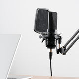 Capacitive Large Diaphragm K Song Computer Mobile Phone Recording Microphone