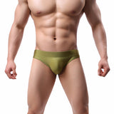 Beach Low Waist Men's Briefs Underwear Underpants