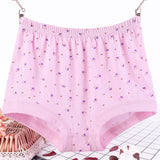 Plus Size, Fat Women's Briefs, Underwear for Moms
