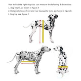 Dog Wheelchair - Fully Adjustable, Small Dogs' Mechanism