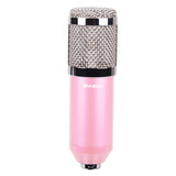 BM800 Large Diaphragm Condenser Microphone