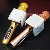 Car or Outdoor Karaoke Microphone