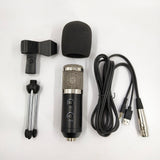 BM800 Studio Condenser Microphone, USB Plug-and-Play with Reverb and Volume Control
