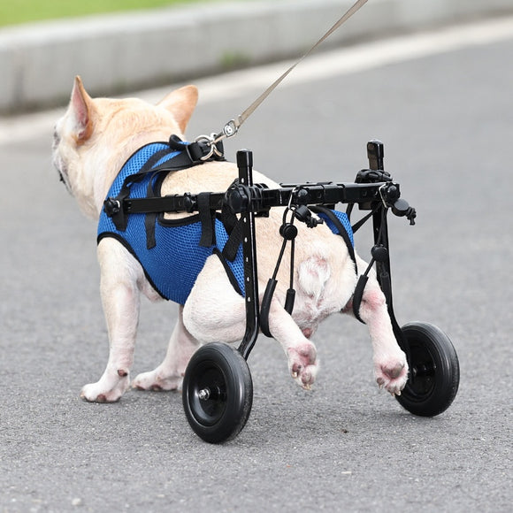 Disabled Wheelchair Scooter for Small Pets or Dogs