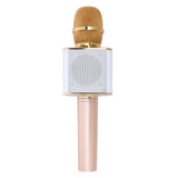 Handheld Microphone Speaker