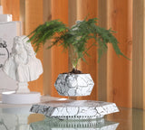 Magnetic Levitating Flowerpot, Creative Display Home Decor