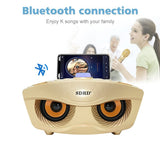 Portable Wireless, KTV Family Microphone