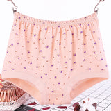 Plus Size, Fat Women's Briefs, Underwear for Moms