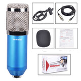 BM800 Large Diaphragm Condenser Microphone