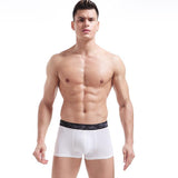 Men's Ice Silk Seamless Trunks, Underwear (Pack of 2)