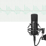 Condenser Microphone Set