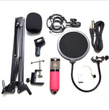 Net Microphone Stand Set