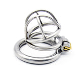 Prison Bird, Stainless Steel Chastity Lock, Catheter Device