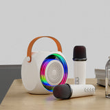 Audio Integrated, Mini Portable Microphone