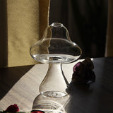 Mushroom-shaped Glass Flower Vase – Hydroponic Plant Pot for Table Decor