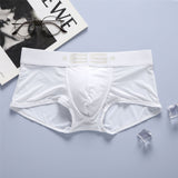 Men's Breathable Slim Fit, Low Waist Youth Underwear