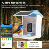 Smart Bird Feeder with AI Recognition App Camera