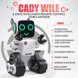 Intelligent Remote Control Robot, RC Toys