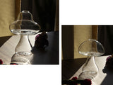 Mushroom-shaped Glass Flower Vase – Hydroponic Plant Pot for Table Decor