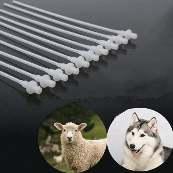Artificial Insemination Rods, Breeding Catheter Tube, Vas Deferens
