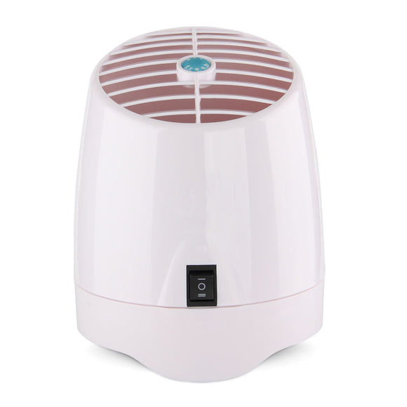 Anion Air Purifier