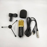 BM800 Studio Condenser Microphone, USB Plug-and-Play with Reverb and Volume Control