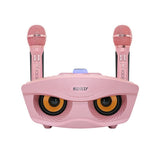 Portable Wireless, KTV Family Microphone