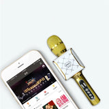 Car or Outdoor Karaoke Microphone