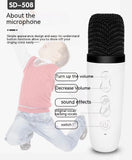Wireless Karaoke Machine, Bluetooth Speaker