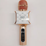 Car or Outdoor Karaoke Microphone