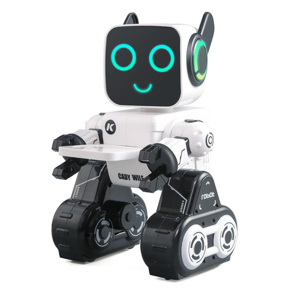 Intelligent Remote Control Robot, RC Toys