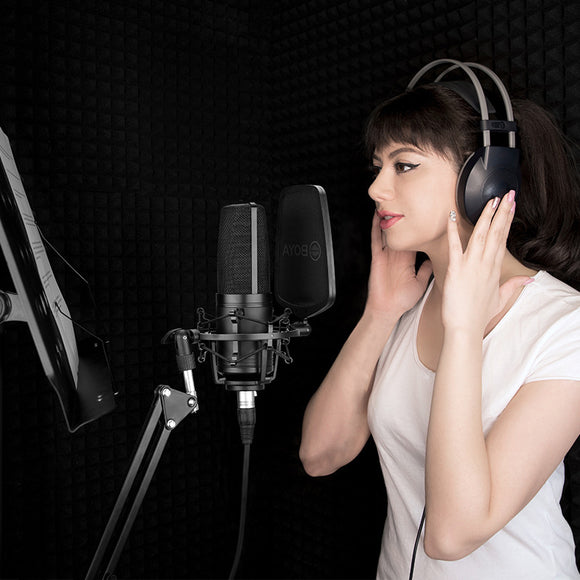 Capacitive Large Diaphragm K Song Computer Mobile Phone Recording Microphone