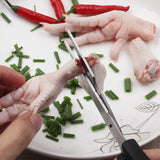 Kitchen and Household Stainless Steel Multifunctional Food Scissors