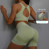 2-piece Sports Fitness Yoga Suit, Breathable Hip-lifting Shorts and Hollow-out Back Bra, Women's Clothing