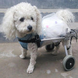 Dog Wheelchair - Fully Adjustable, Small Dogs' Mechanism