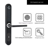 Electronic Fingerprint Lock with Password & Card Sensor