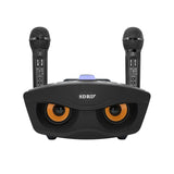 Portable Wireless, KTV Family Microphone