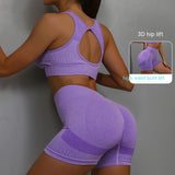 2-piece Sports Fitness Yoga Suit, Breathable Hip-lifting Shorts and Hollow-out Back Bra, Women's Clothing
