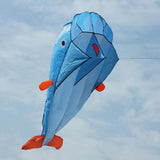 Cartoon Style, Children's Large Soft Kite