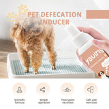 Pet Toilet Inducer, Fixed-point Training