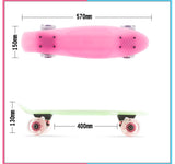 Plastic Four-wheel Fish Skateboard with Flashing Wheels – Single Curve Road Gadget