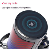 Condenser RGB Colorful Live Broadcast Wired Microphone