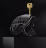 Male Electric Shock, Chastity Lock, Catheter Device